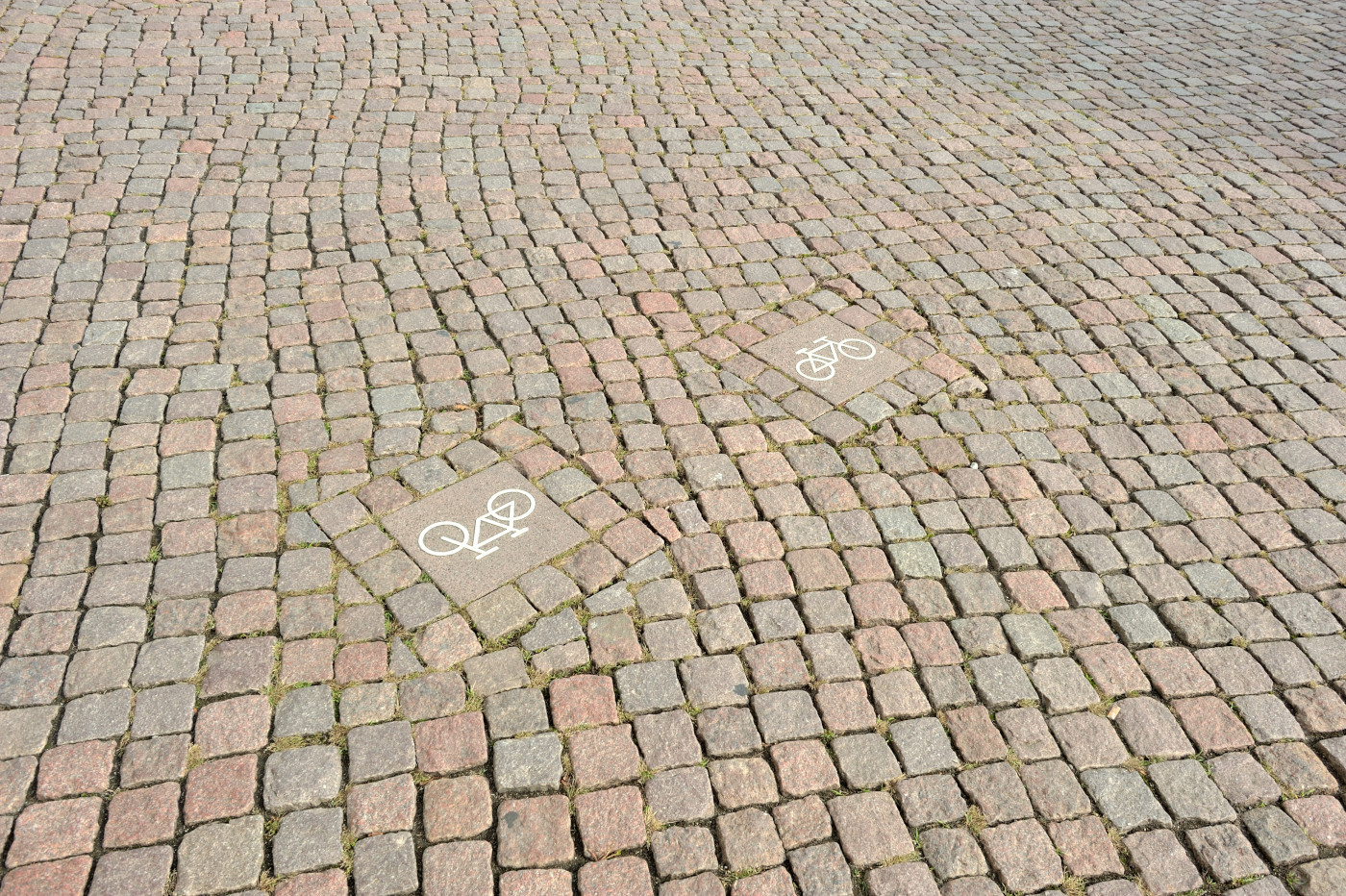 DSC 0782.JPG