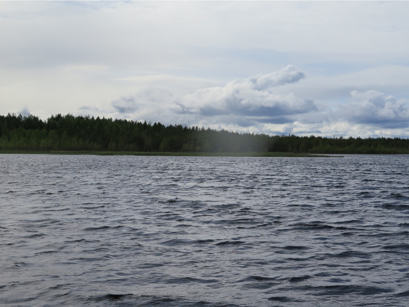 IMG 0180.JPG