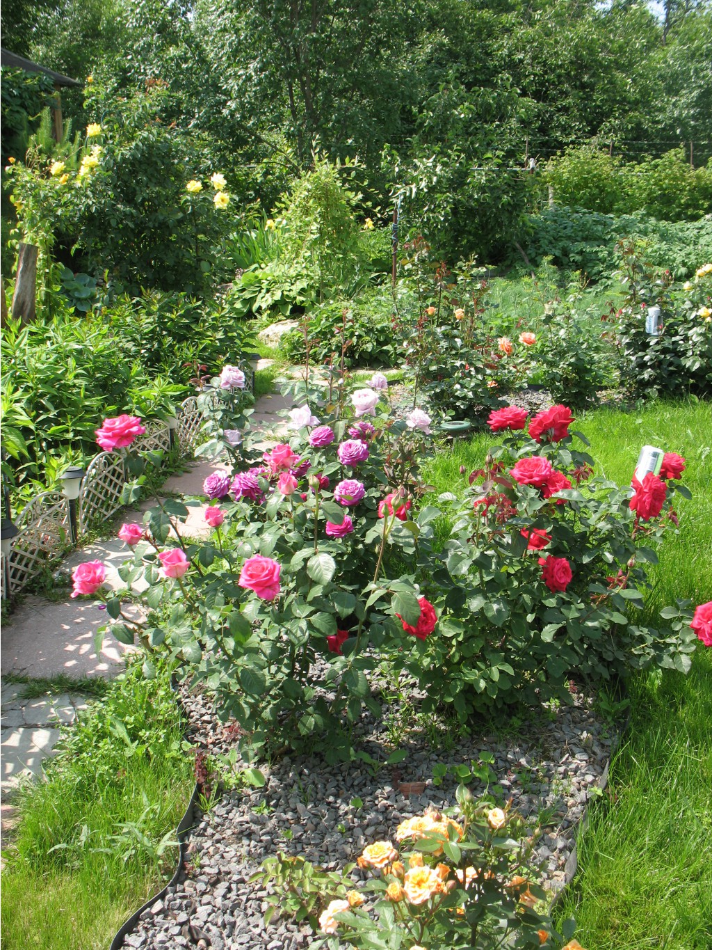 IMG 0297.jpg