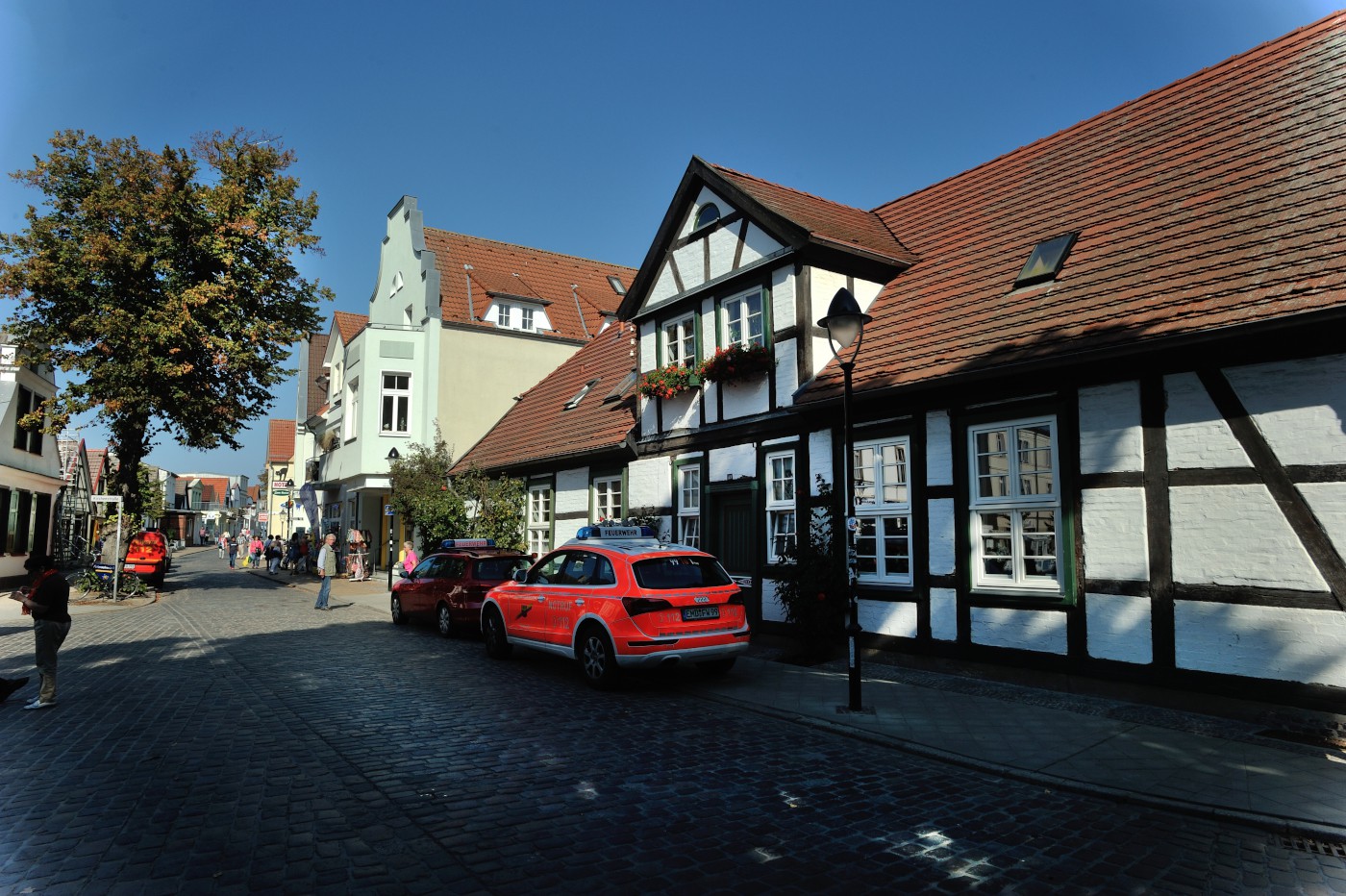 DSC 0511.JPG