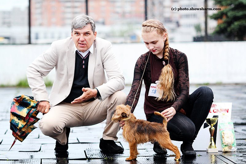 601916 144972678971854 978557814 n.jpg