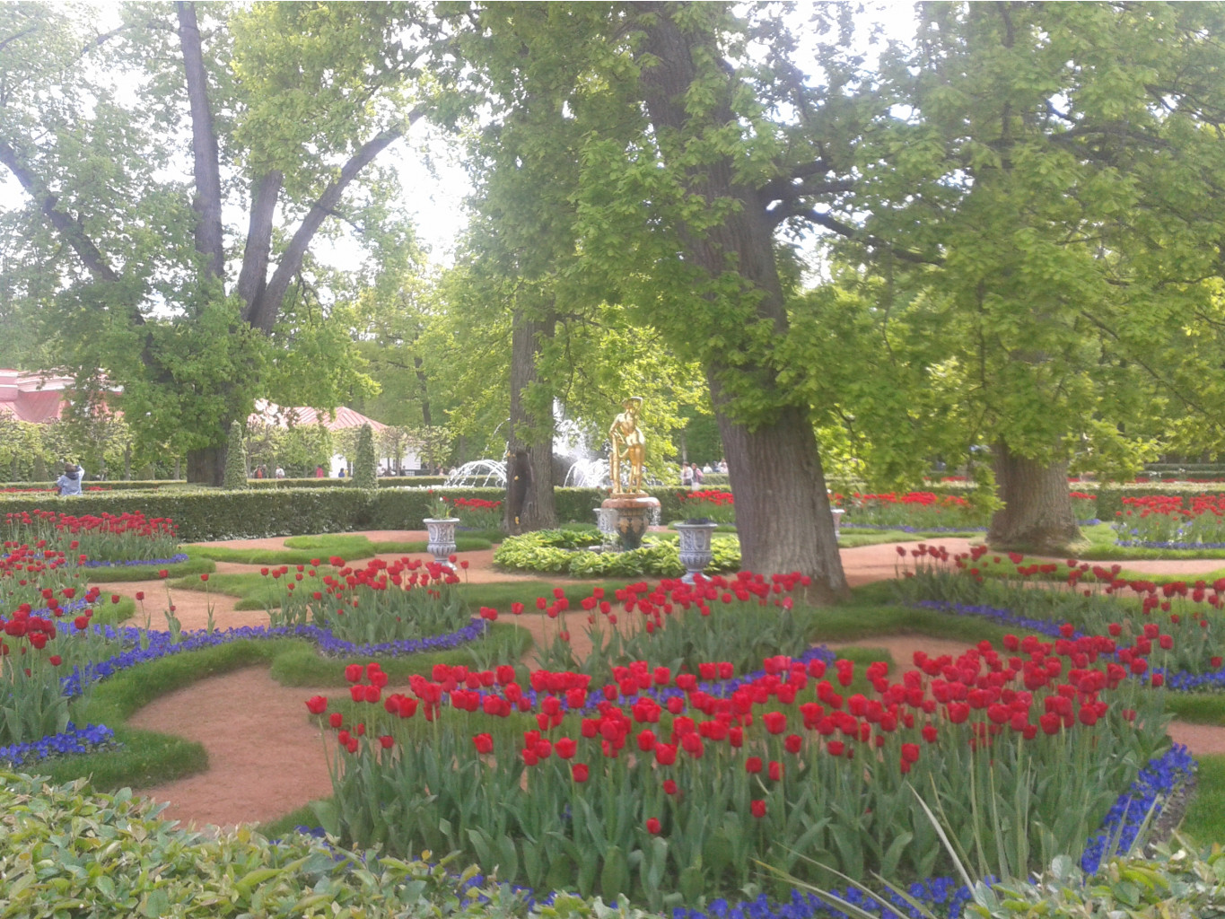 20150602 132401.jpg