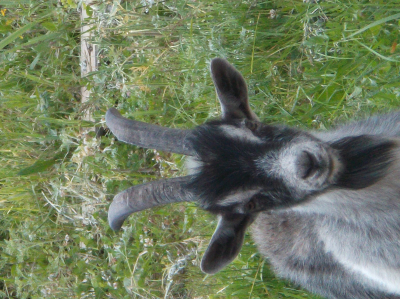DSCF9372.JPG