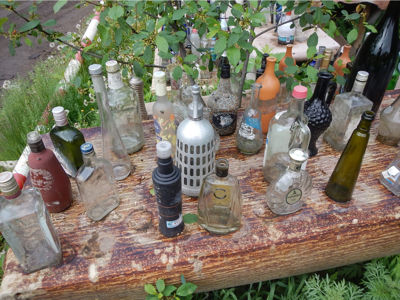 DSCN3483.JPG
