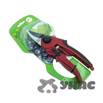  ''    10133  00031342 226,27.jpg