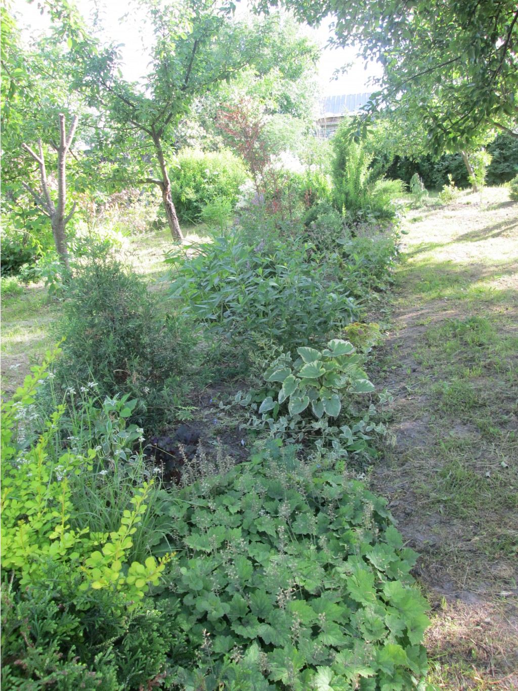IMG 3347.JPG