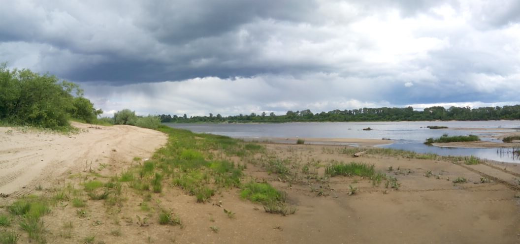 IMG 20150606 115430.jpg
