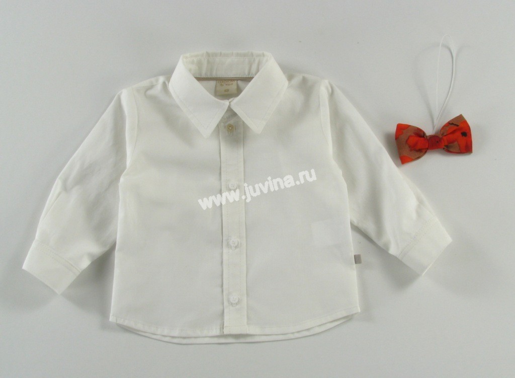 IMG 1966 ().jpg