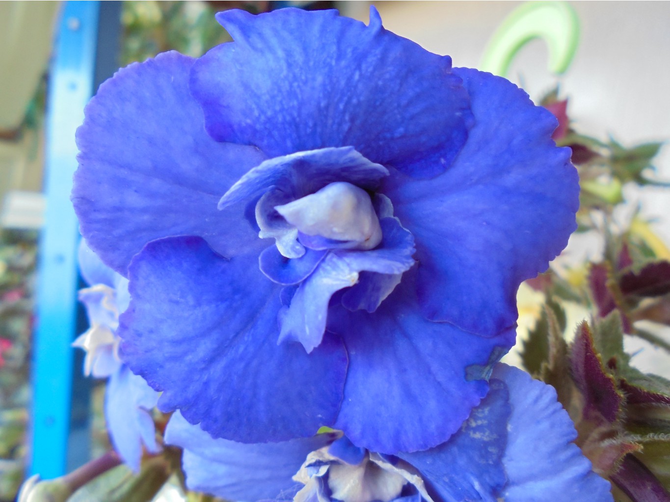 DSC00582.JPG