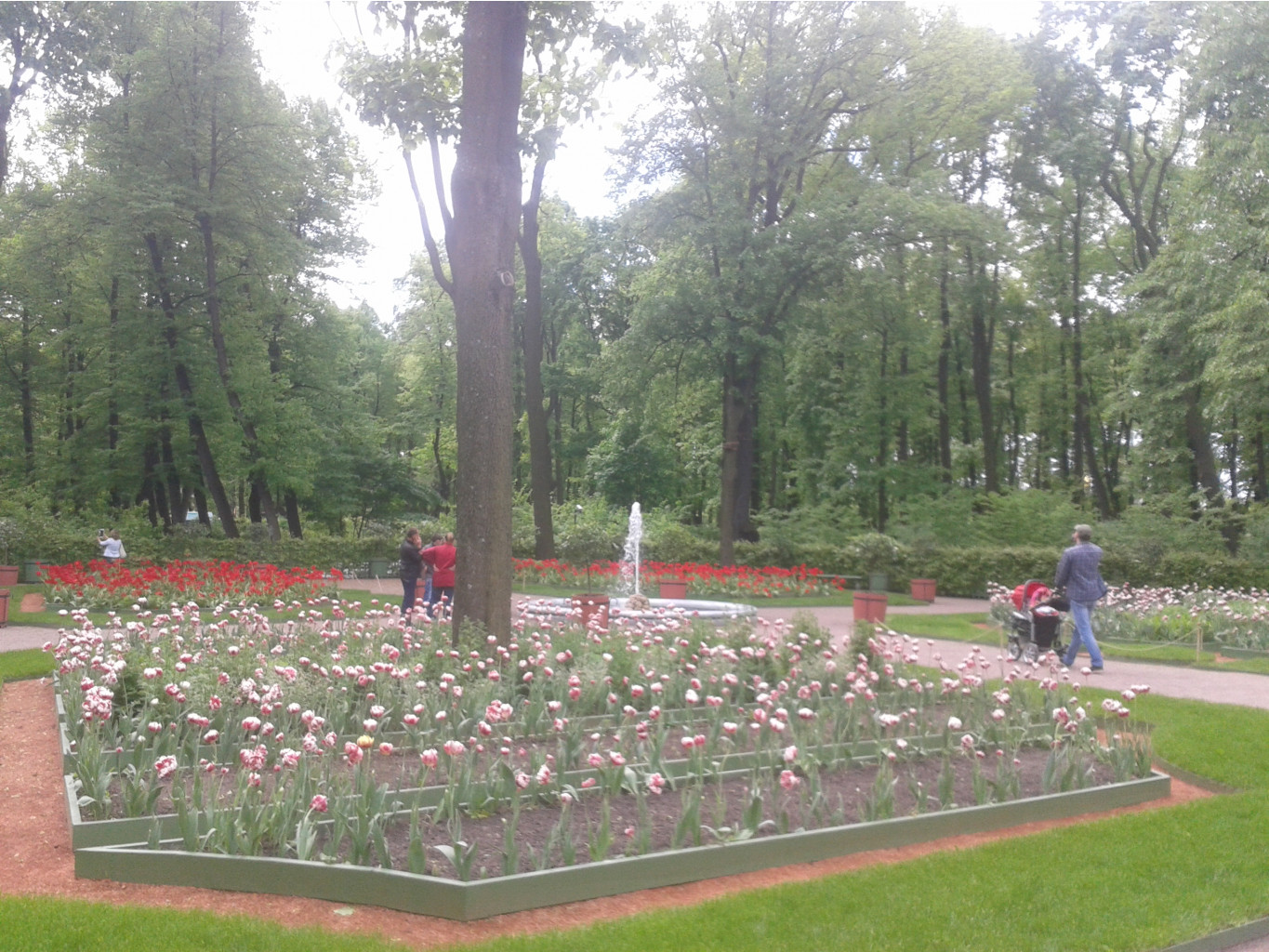 20150531 111830.jpg