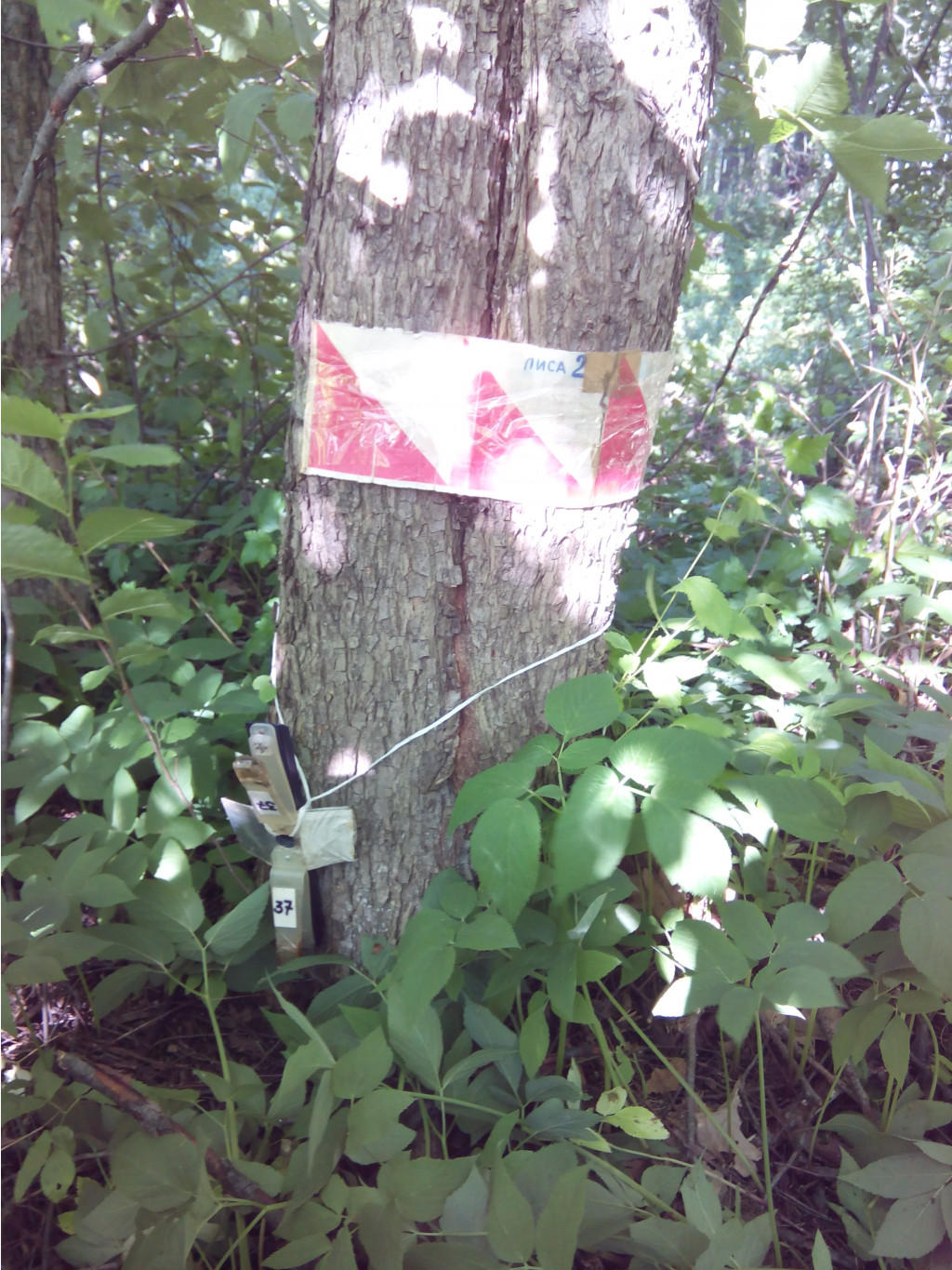 IMG 20150606 171135.jpg