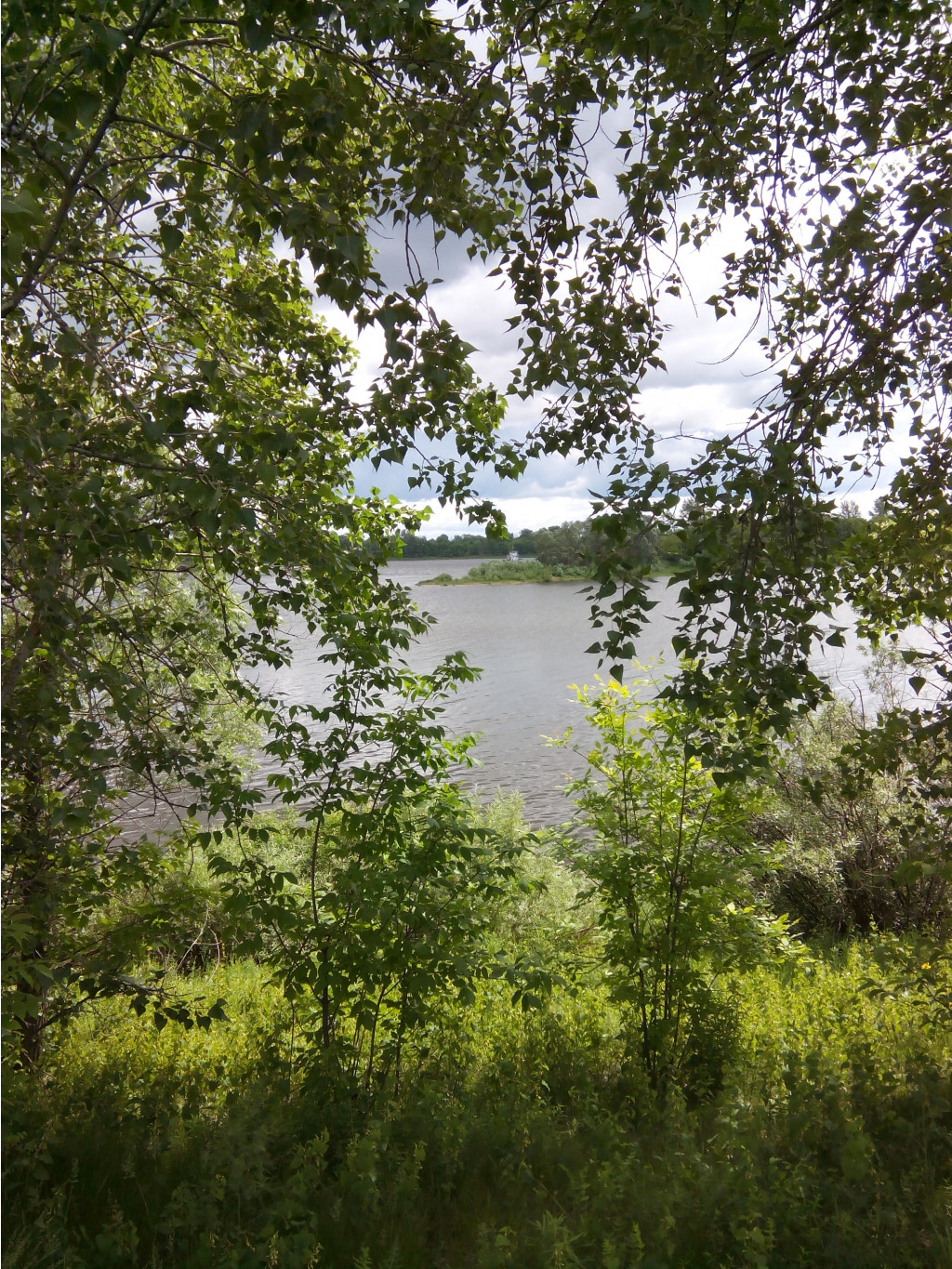 IMG 20150606 110533.jpg