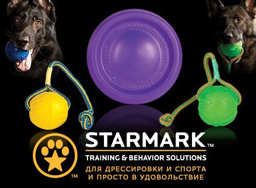     - StarMark!