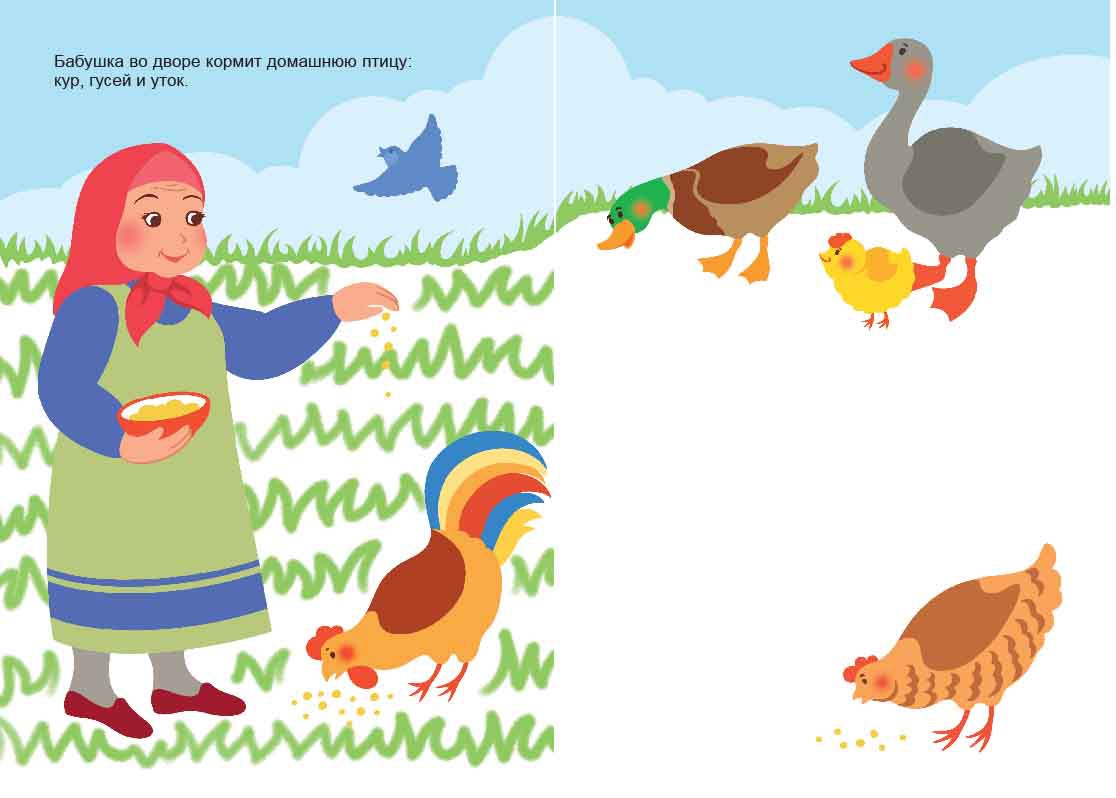 15-3804   2+   dop.jpg