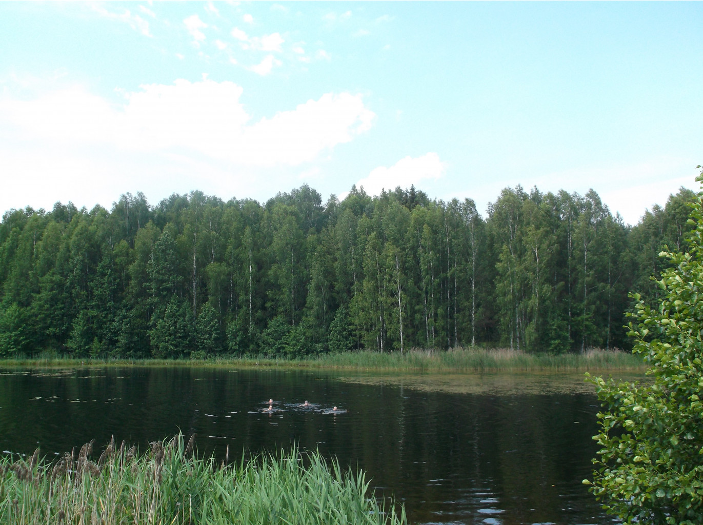 DSCF9627.JPG