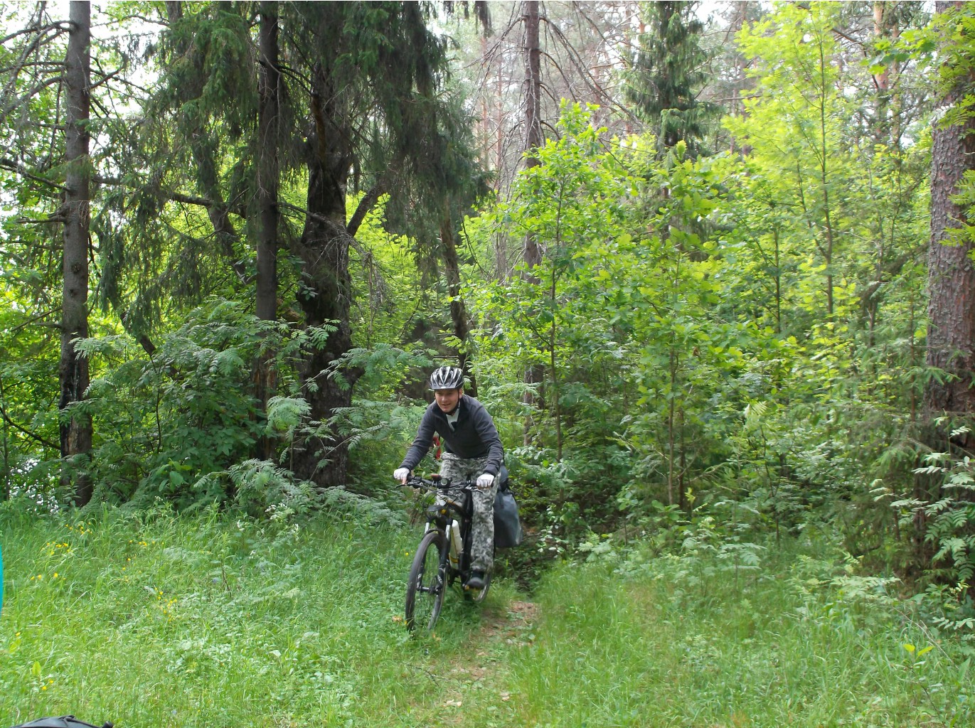 DSCF9254.JPG
