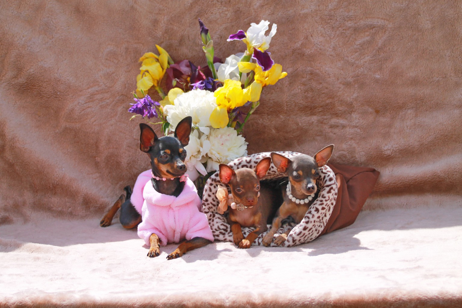 IMG 0015.JPG