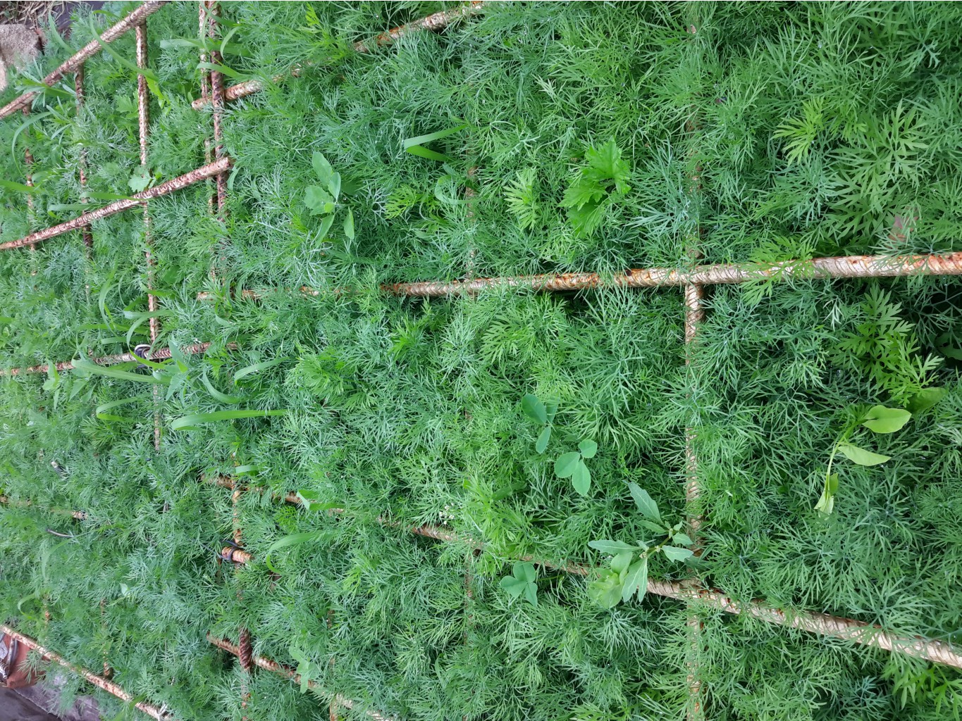 20150601 091518.jpg
