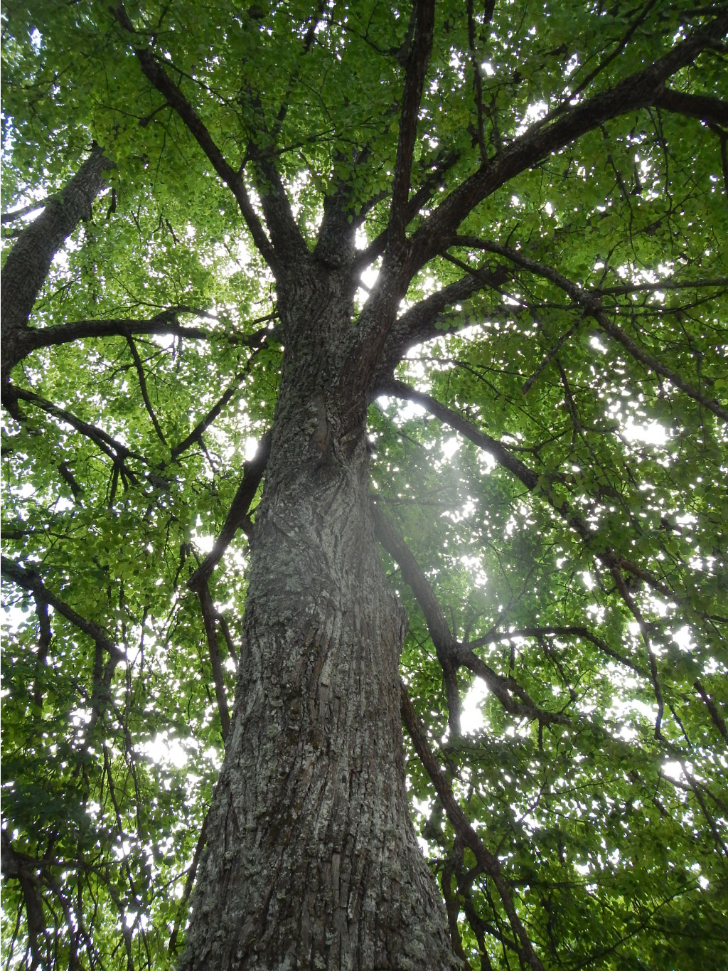 DSCN3881.JPG