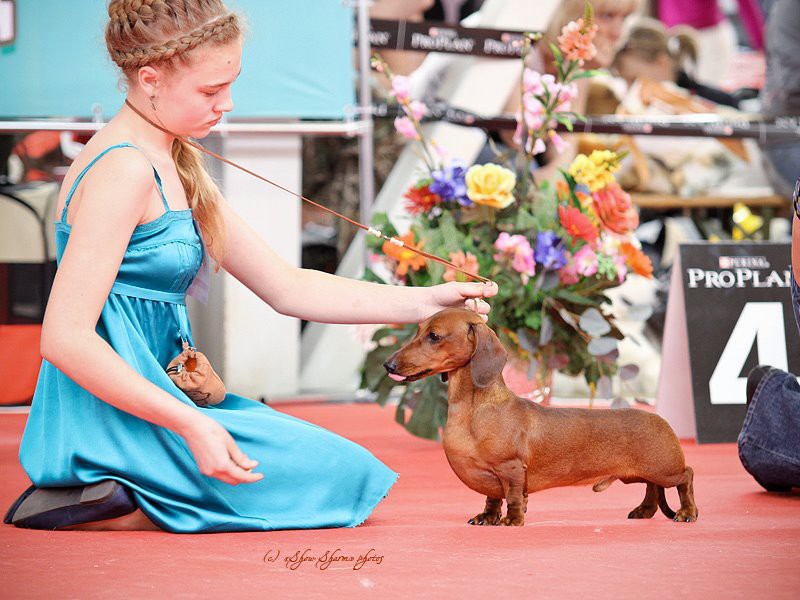 577388 375090469194581 1000052311 n.jpg