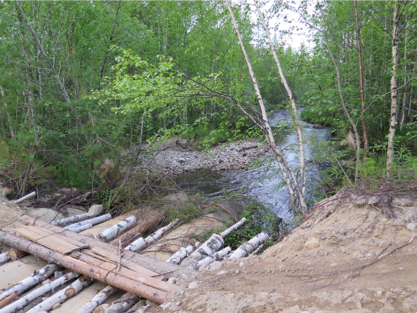 IMG 0119.JPG