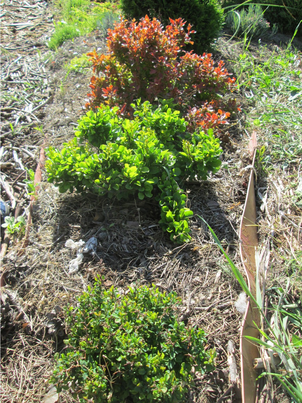IMG 3240.JPG