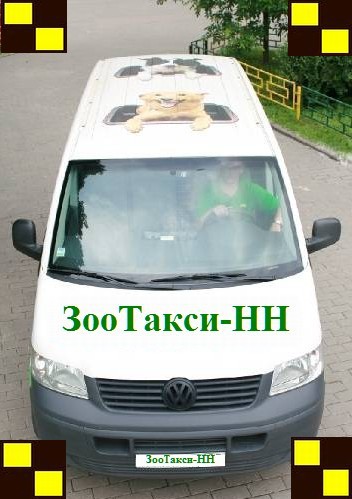 Zootaxi-nn.jpg