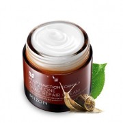     92% Mizon All In One Snail Repair Cream 75  () 1440 