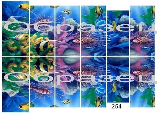 254.jpg
