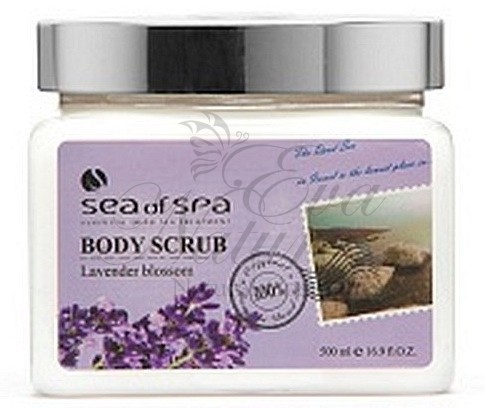 Sea of SPA	NEW 	    .	500._1030,92 