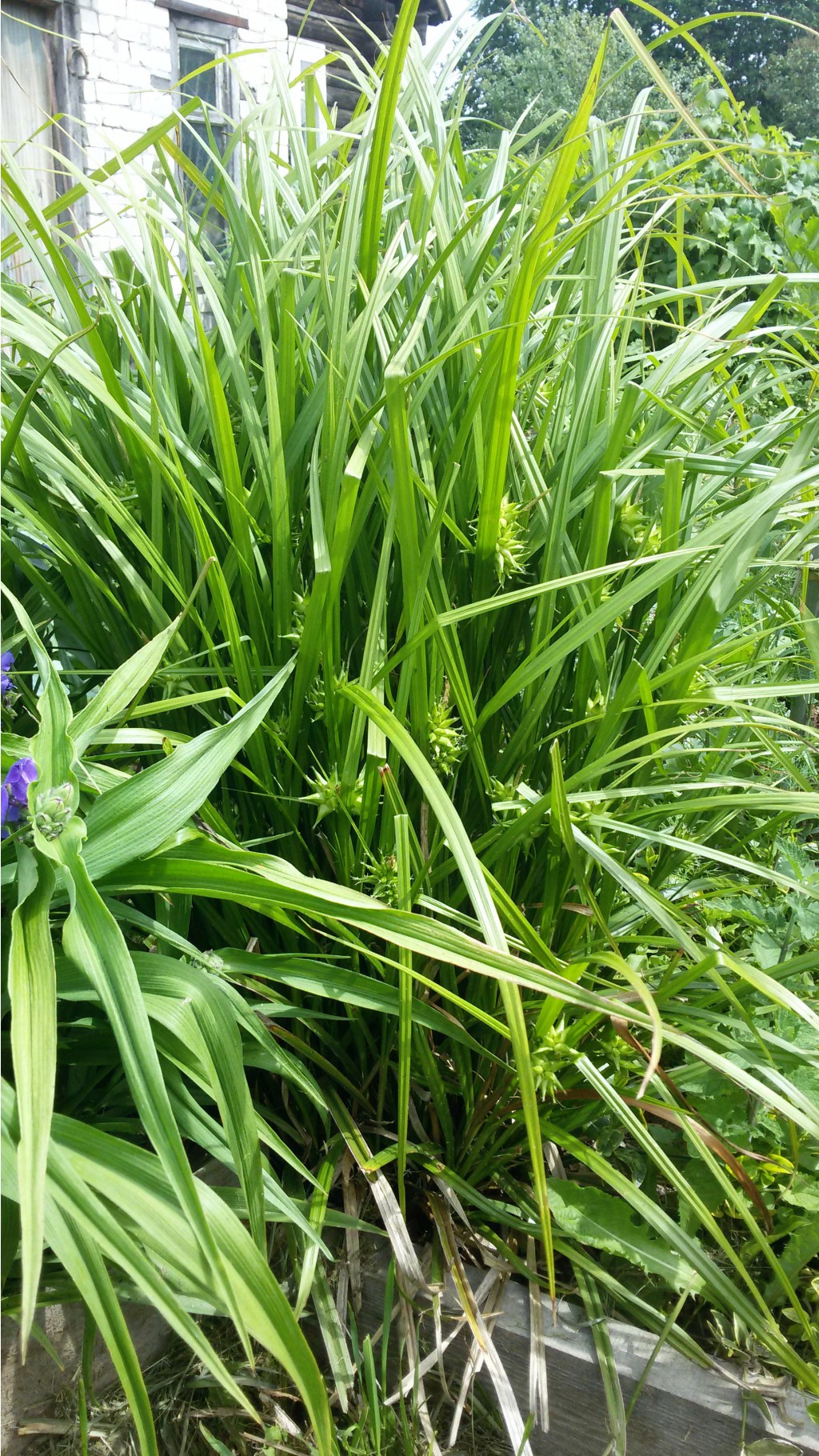   20150617 114334.jpg