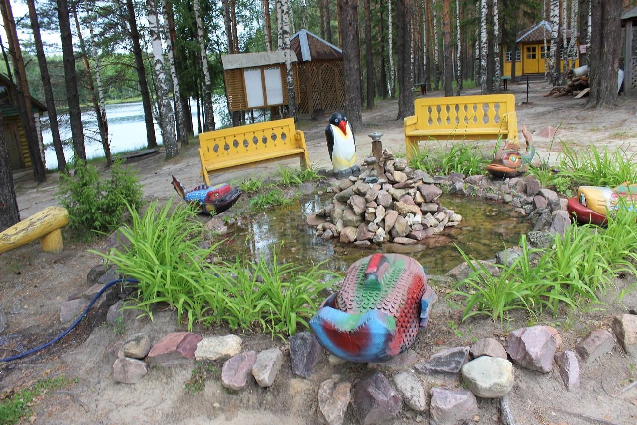 IMG 0911.JPG