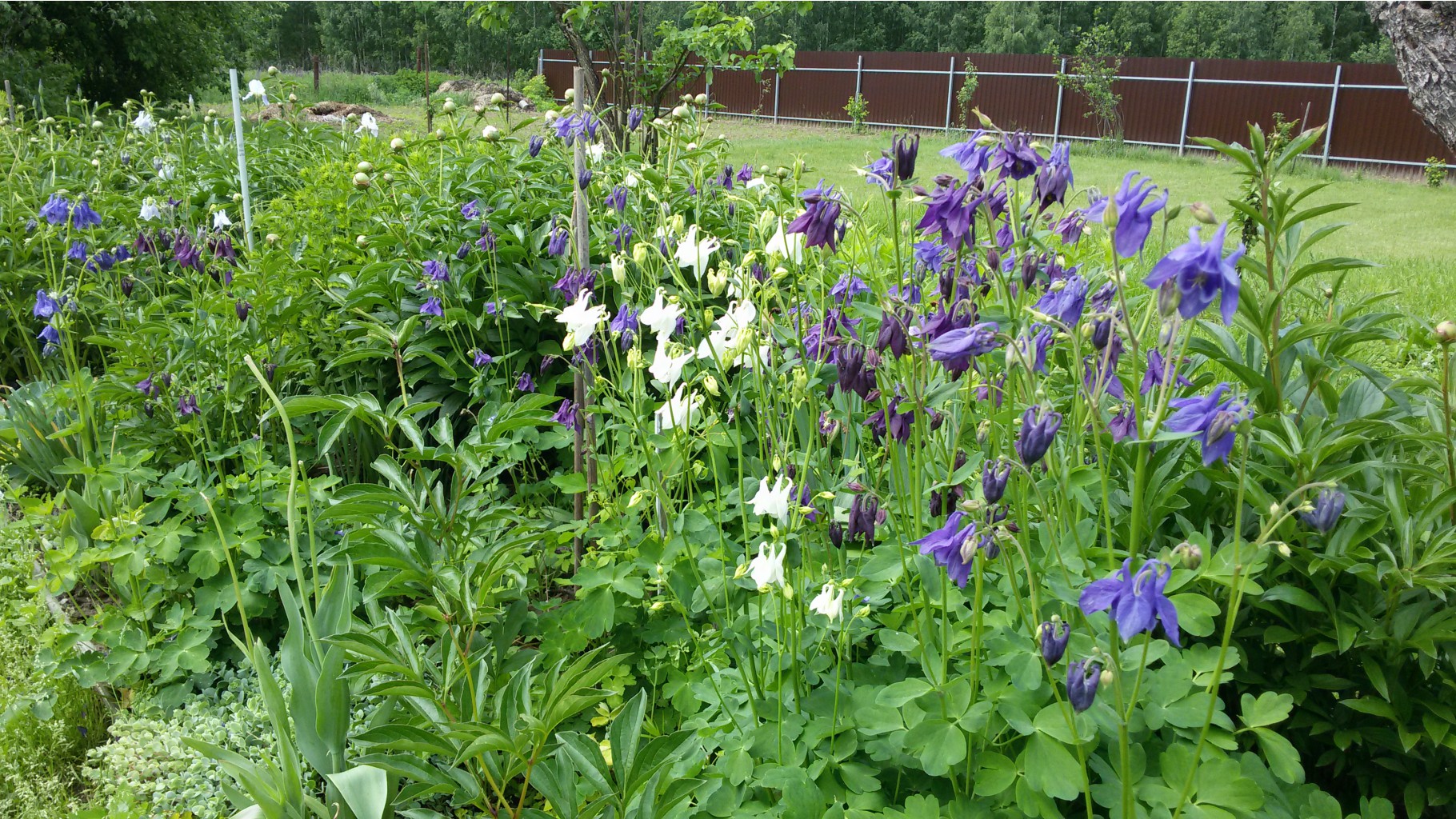 20150606 100920.jpg