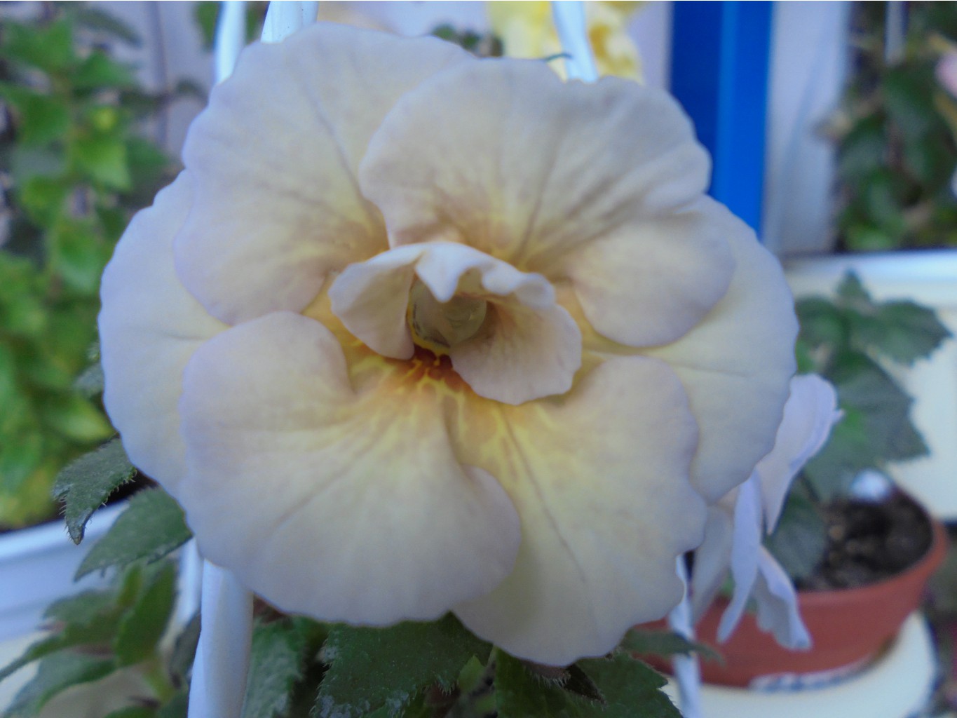 DSC00480.JPG