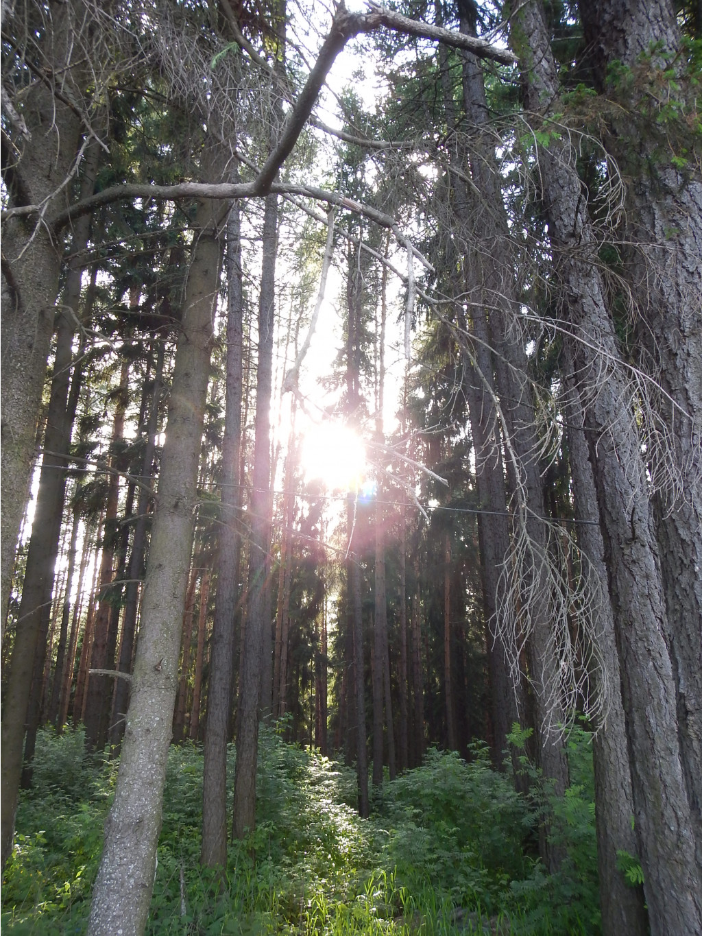 DSCN3567.JPG