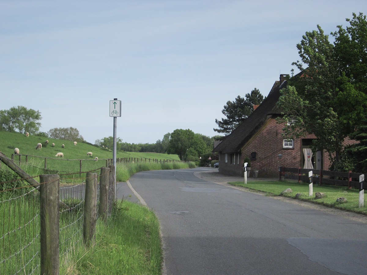 IMG 8229.jpg