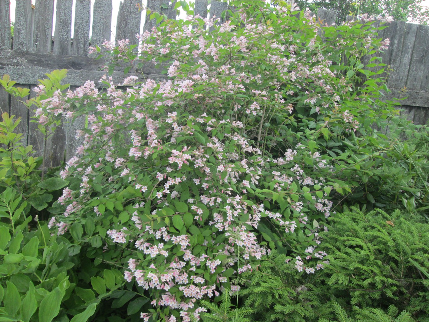 IMG 3333.JPG