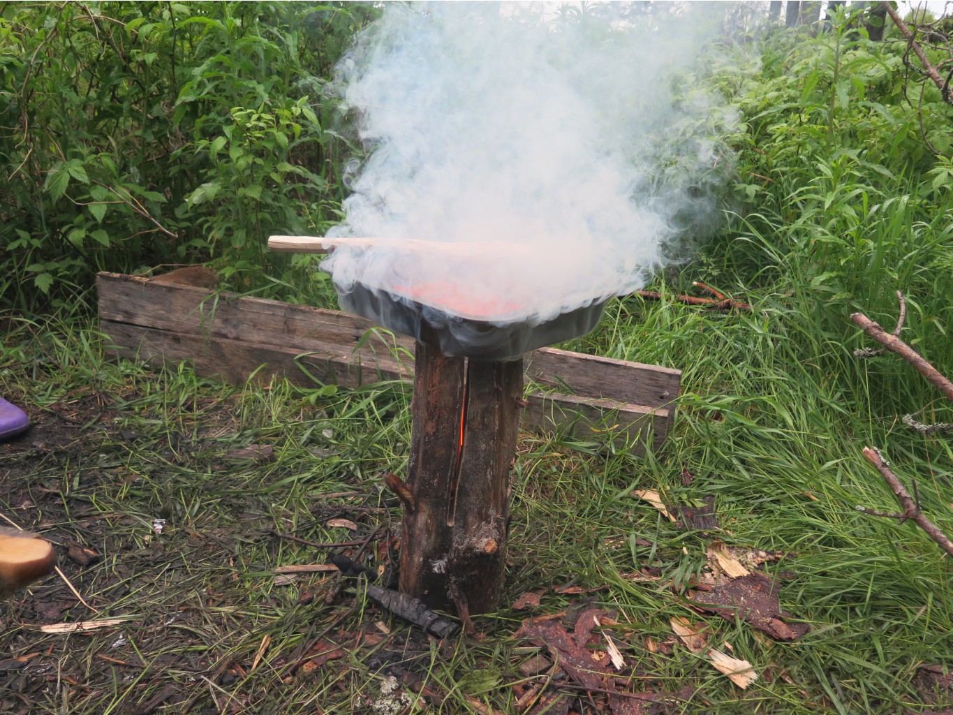 IMG 0244.JPG