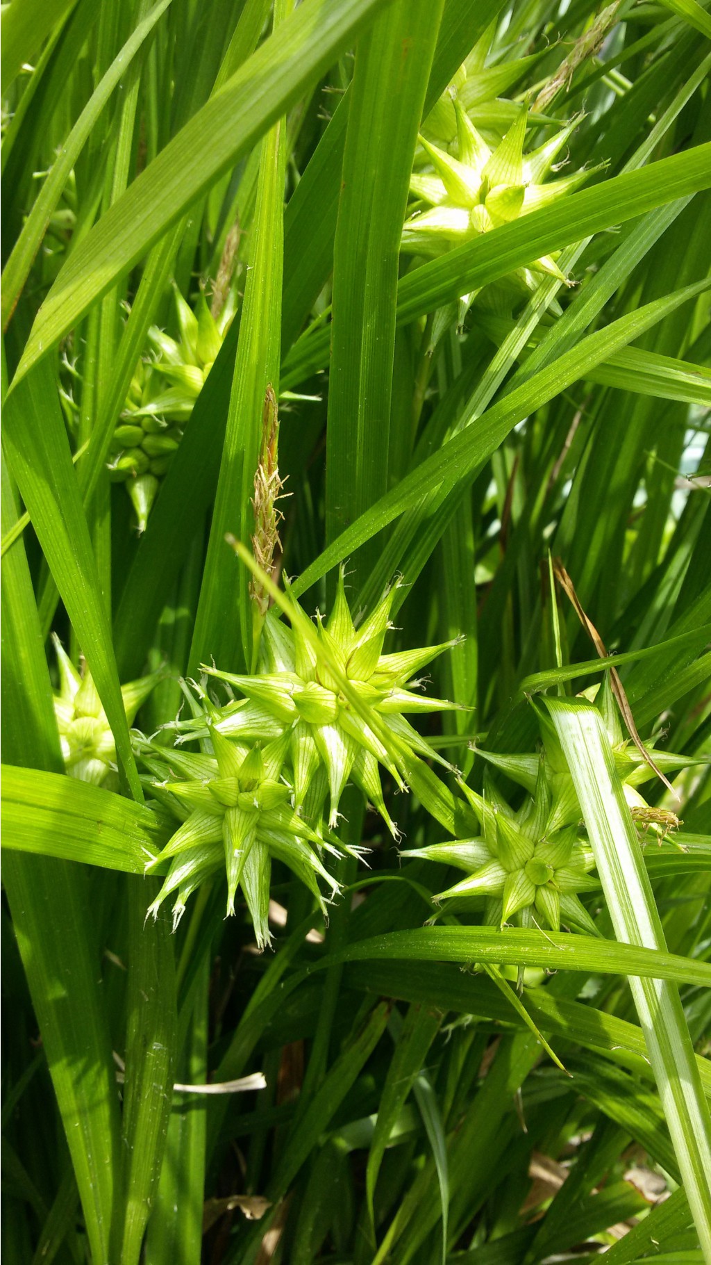   20150617 114351.jpg