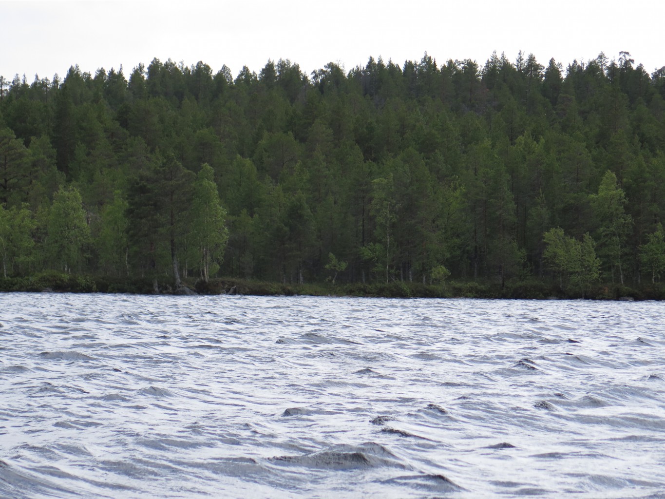 IMG 0207.JPG