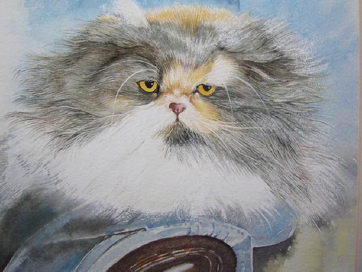 Db Dianne Whitney-Searle- fluffy cat1.jpg