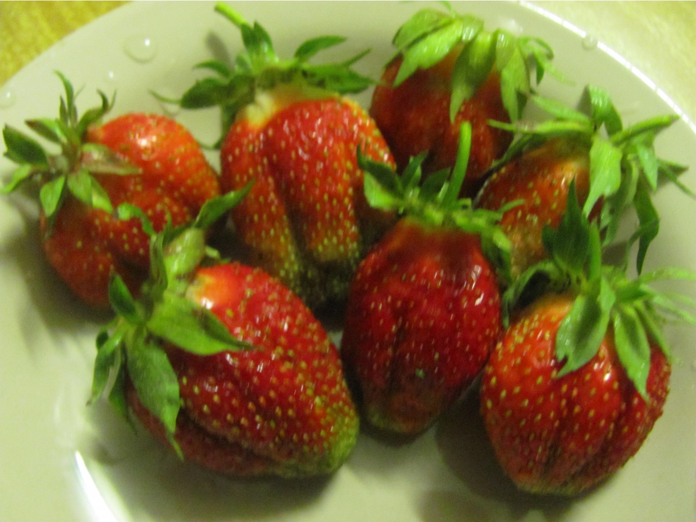 IMG 4276.JPG