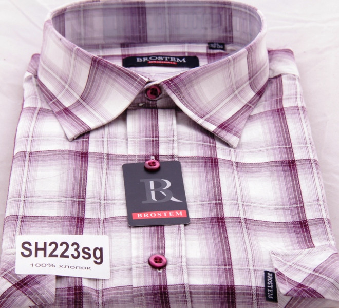 SH223sg.JPG