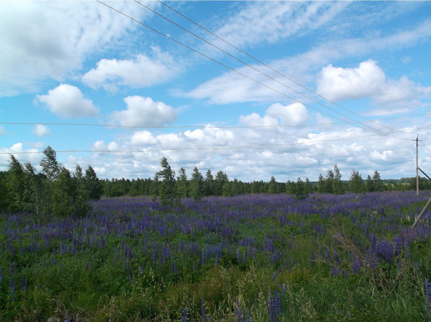 DSCF9256.JPG