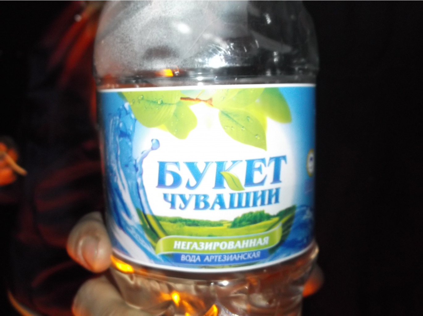 DSCF9420.JPG