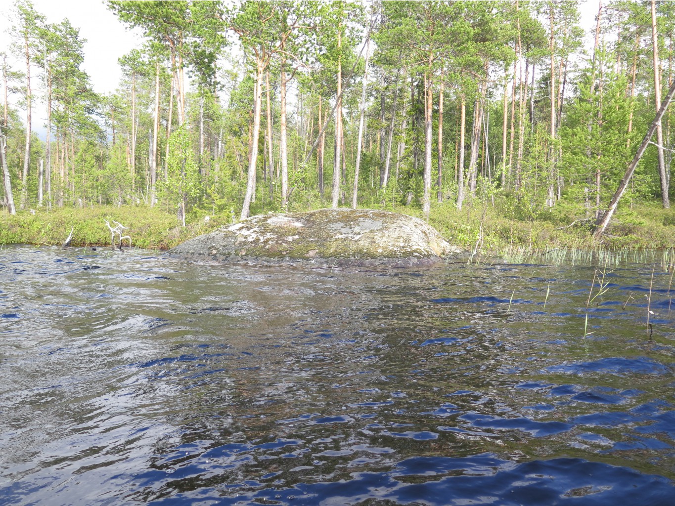 IMG 0208.JPG