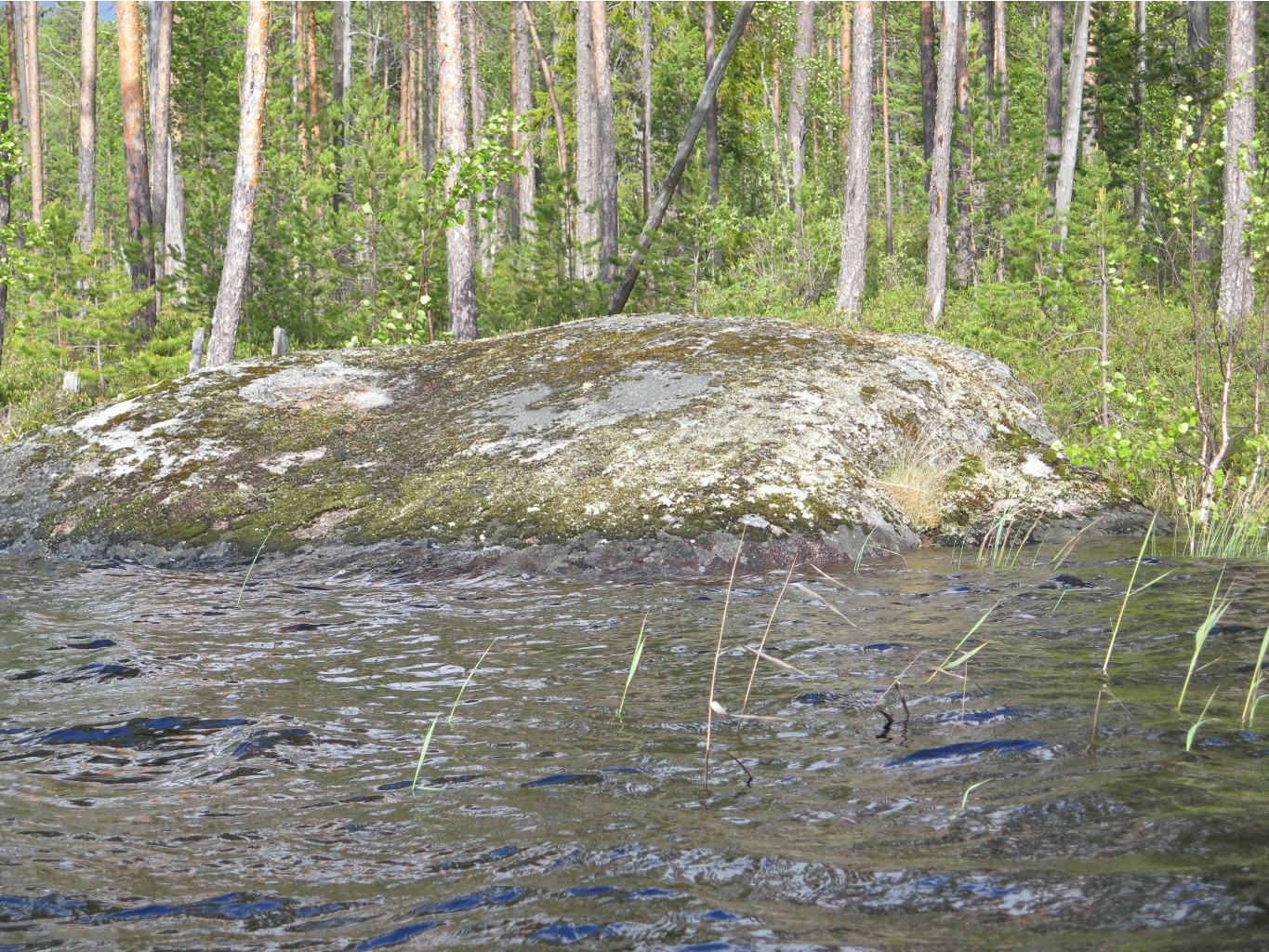 IMG 0209.JPG