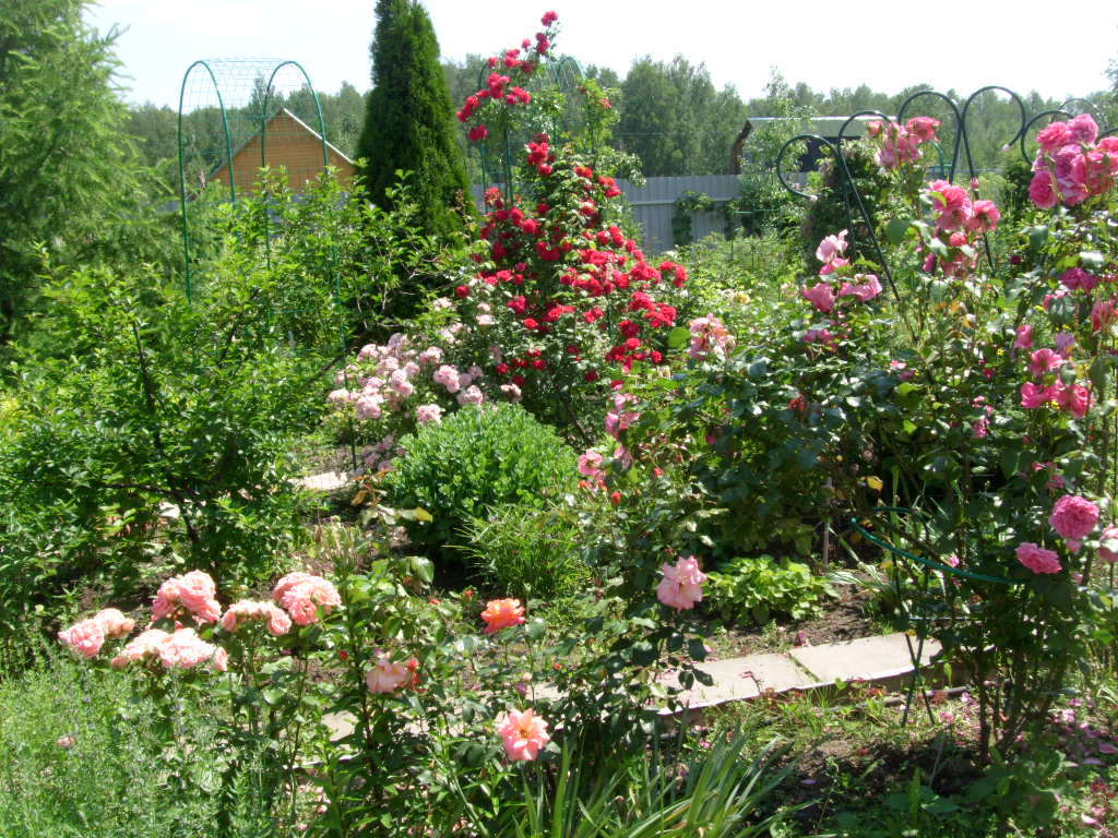 S73R1888.JPG