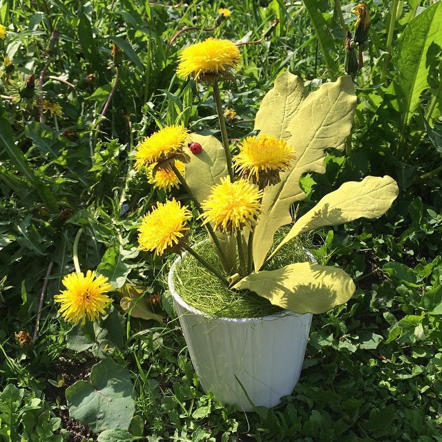 Одуванчики из фоамирана