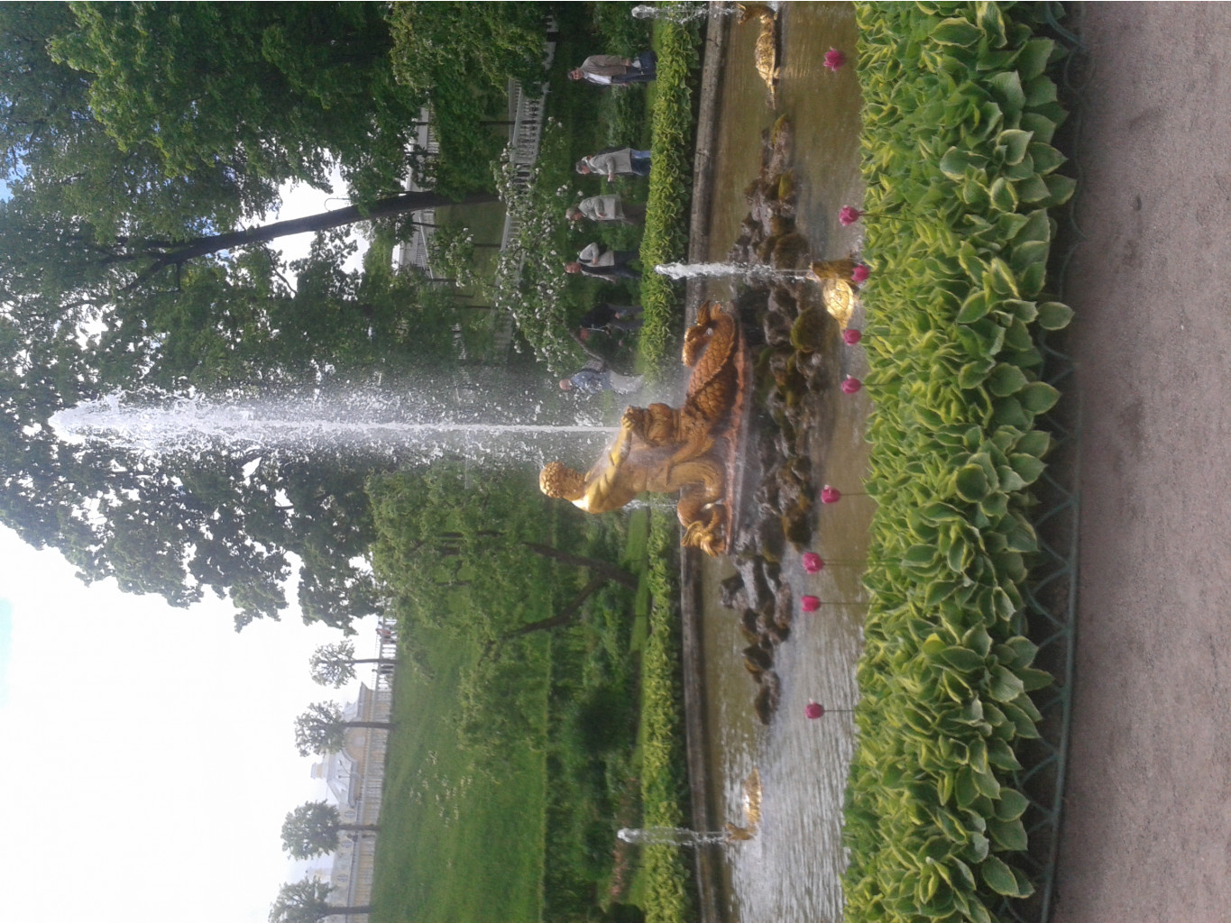 20150602 140919.jpg